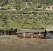 Desastre en Yellowstone
